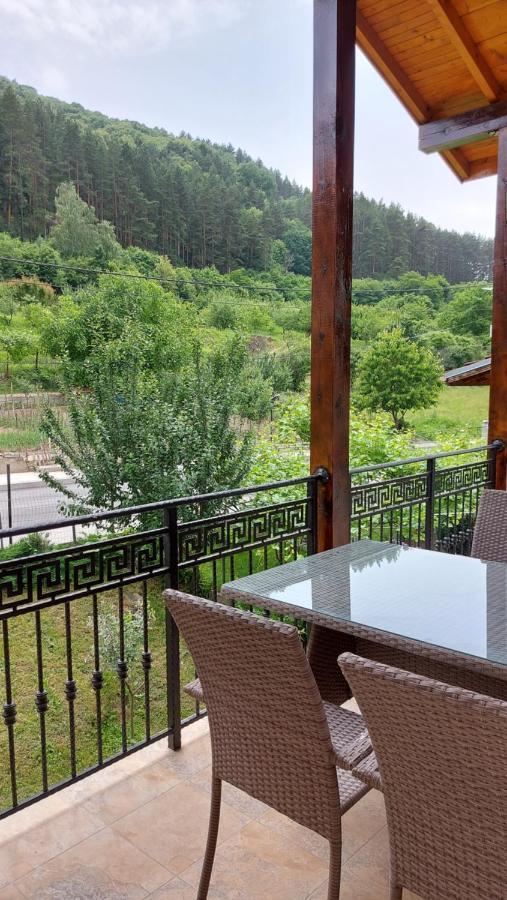 Forest Apartment Сапарева-Баня Экстерьер фото